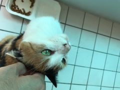 -ID.PHOTO照相馆(嘉里企业中心店)