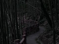 -炎陵县神农谷国家森林公园