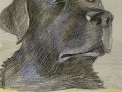 给客人画的卡通画-獨門烤肉(开发区店)