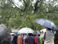 -华清宫-观风楼