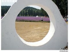 -紫海香堤香草艺术庄园