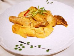 -皇朝尊会(龙之梦大酒店)