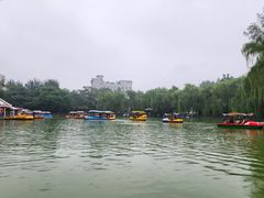 -莲湖公园