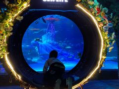 -沈阳海洋探索中心