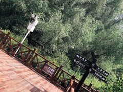 -大亚湾红树林城市湿地公园