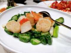 金钱脆瓜炒大元贝-恒悦轩·粤菜(上海展览中心店)