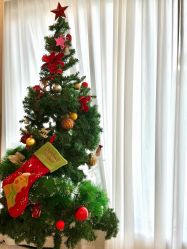 -森宝月子中心(白云山店)