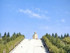 -中原大佛景区