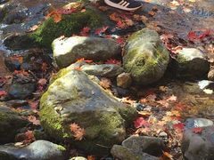 -本溪老边沟风景区