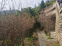 -草庵摩尼教遗址公园