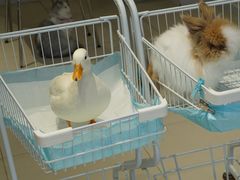 -怪兽屋·羊驼·猫咖·狗咖(俊华广场店)