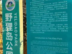 -野狸岛