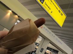 -谢列梅捷沃国际机场