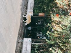 -豆舞咖啡(民乐路店)