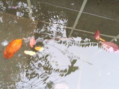 -郑州银基黄帝宫御温泉