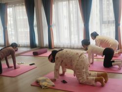 -安馨月子会所(旗舰店)