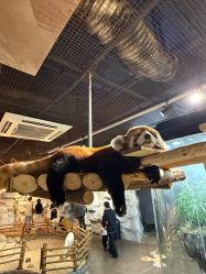 -Zoolung Zoolung动物主题公园(海信广场店)