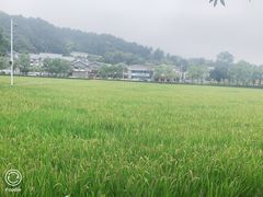 -韶山毛泽东同志故居