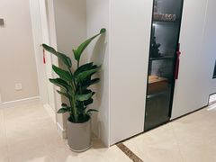 -双季花艺园艺市场(浦东店)