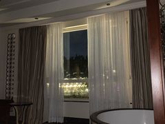 -深圳东部华侨城茵特拉根酒店