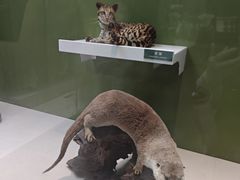 -国家自然博物馆