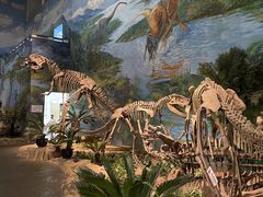 -自贡恐龙博物馆