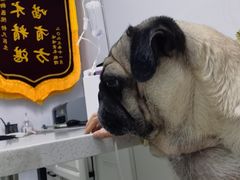 -宠福鑫动物医院·动物疾病诊疗中心(天通苑店)