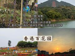 -东莞观音山旅游风景区