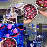 东莞探店｜高颜值浆果大爆炸🍓附赠小钢杯🌟