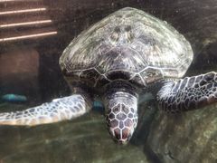 -福州罗源湾海洋世界旅游区