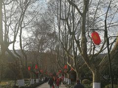 -杭州黄龙洞