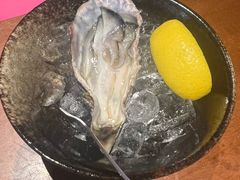 -Tanuki Raw(Orchard Central)