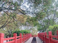 -高东镇樱花园