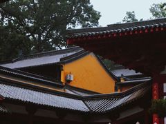 -灵谷景区