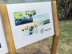 -桤木河湿地公园