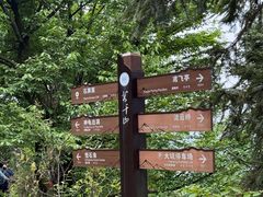 -莫干山风景区