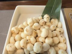 -同仁四季椰子鸡(无锡滨湖万象汇店)