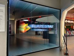 -FLARE STAR FITNESS(复地活力城店)
