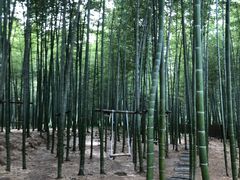 -陶祖圣境风景区