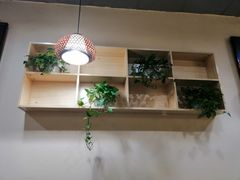 -毛大碗西府削筋面(土门店)