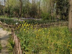 -溱湖国家湿地公园