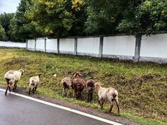 -新疆那拉提国家旅游度假区