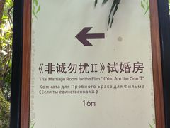 -亚龙湾热带天堂森林公园