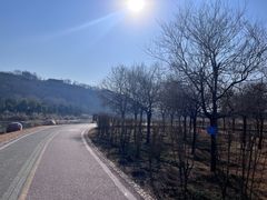 -淇河国家湿地公园