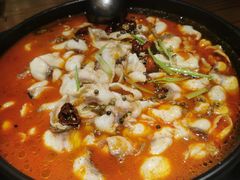 酸菜鱼-百岁我家·酸菜鱼专门店(塘下店)