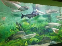 -乌鲁木齐海洋馆