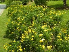 -MEET COFFEE婉约咖啡(宝善公寓店)