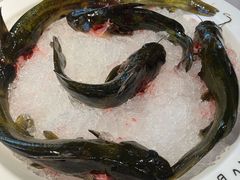 -蜀九香火锅(九眼桥店)