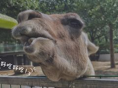 -天津市动物园