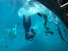 -瑞德姆美人鱼海底演艺主题餐厅(亚龙湾店)
